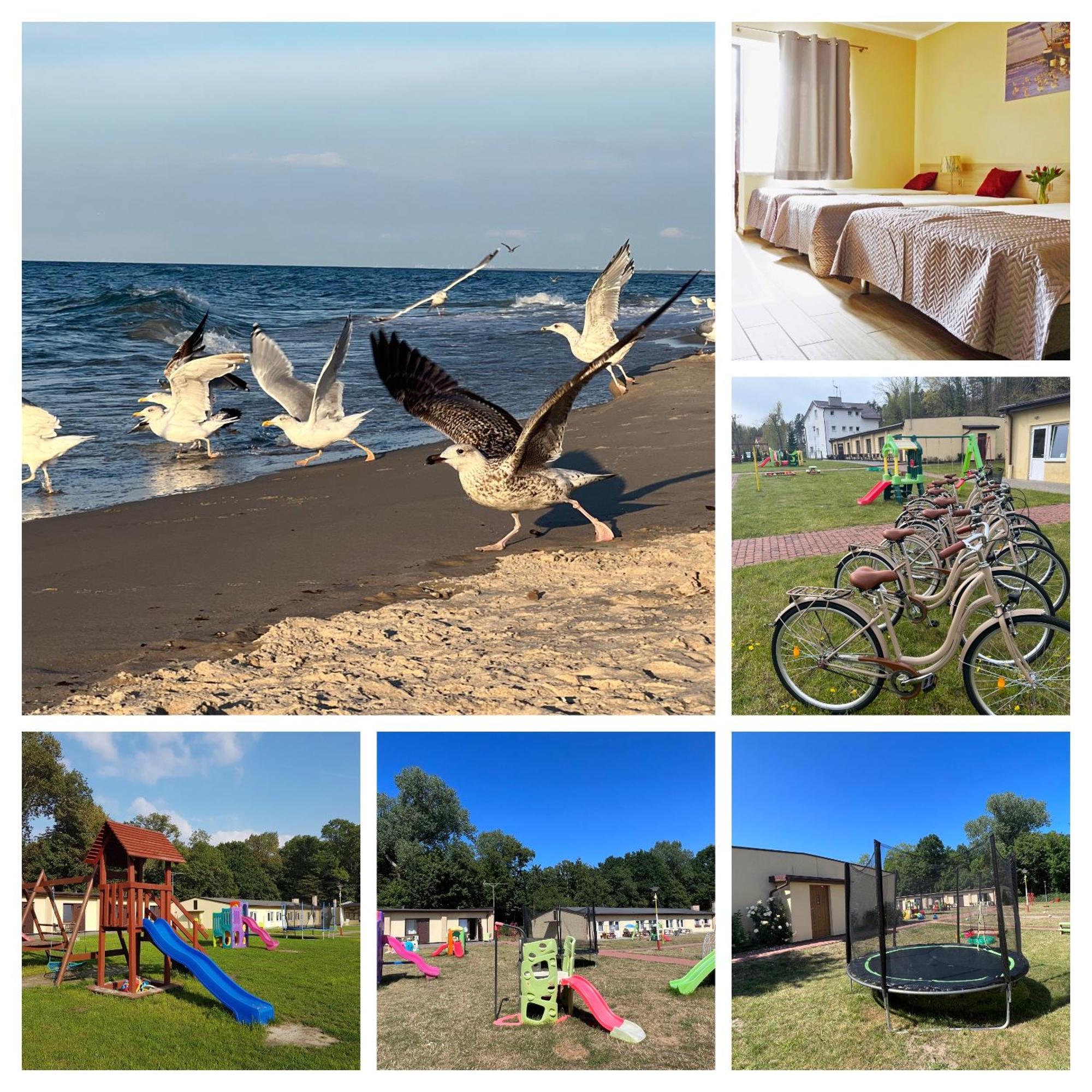 Osrodek Rodzinny "Pod Wydmami" Przy Plazy , Plac Zabaw , Rowery Sarbinowo Buitenkant foto